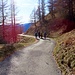 Scendiamo lungo la strada verso la Croce