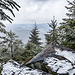 Die Vogesen lassen sich am Aussichtspunkt Vogesenblick bei der heutigen Wetterlage natürlich nicht blicken, immerhin vage jedoch das Harmersbachtal.