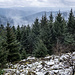 Forstwegig geht es in die Höhe, vorbei an einer schönen Blockhalde, dort ein Blick gen Wolftal.