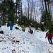 die bunte Truppe ist erst im Wald ...