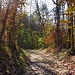 Autunno.