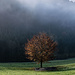 Herbst.