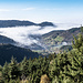 Bald sind wir am Aussichtsfelsen Brennte Schrofen mit Blick zum Talort Ottenhöfen und zur Rheinebene.