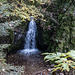 Hat Tropical Feeling: das Deglerbad.