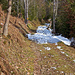 Wanderweg auf die Blueme. Im Wald noch schneebedeckt