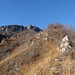 cresta...