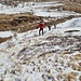 Tagliamo il passo del monscera 