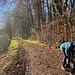 Jetzt ist es Zeit, die Sonnenbrille hervor zu holen.<br /><br />