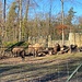 Im Tierpark Lange Erlen.<br /><br />