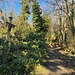 Steiles Abstiegsweglein.<br /><br />
