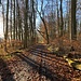 Dem Waldrand entlang südwärts.<br /><br />