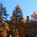 Bergstation Meran 2000