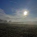 Auf der Höhe von Meßnerschlagerwaide hat die Sonne genügend Kraft den Rauhreif der Nacht verdampfen zu lassen.