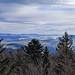 Blick ins Mühlviertel OÖ