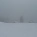 Wieder an der Schwaigeralm, Whiteout