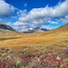 Die Herbstfarben haben uns die gesamte Tour entlang begeistert