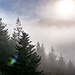 ... erreichen wird das Etappenziel Wiedenfelsen, auch er ist als Aussichtspunkt zugänglich gemacht und liegt heute genau auf der Nebel-Sonnen-Grenze.