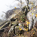 ... kurz vor den Gipfel-Brocken des Brockenfelsens (685 m) ...