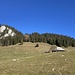 an der Alp Nessli und den Felszähnen oberhalb des Nessligrabe' vorbei