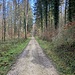 Der Weiterweg. Hier kurz vor der Waldhütte.