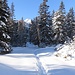 Winterzauber