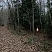 Flach und beleuchtet führt der Weg weiter zum ....