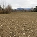 Il Monte Orsa dai campi fra la Cascina Brughiere e la Cascina Poscalla.