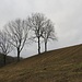 Nei pressi della Cascina Poscalla.