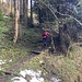 steil - und nun für längere Zeit beinahe schneefrei - geht's hoch ...