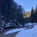 zurück im Schatten - bei der Kleinen Fontanne