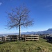 geschützter Gipfelbereich - mit Weitblick