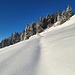 Auf dem Sommerweg durch die Flanke