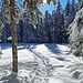 Auf dem Rückweg konnten wir meist die Sonne genießen