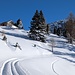 Bei Foppa wurde ich von einem Schneetöff oder besser gesagt Schnee-Quad überholt, und konnte nachher dessen Spur folgen.