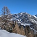 Weiter unten erwies sich die Forststrasse Richtung Foppa als zu wenig steil bei 30 cm Pulverschnee. Ich musste mit den Stöcken viel nachhelfen.