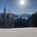 im Abstieg zur Alp Egg, Blick ins Glarnerland...