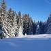 nach der Abzweigung hinter Rittmarren gehen wir geradeaus weiter und nehmen nicht die Rodelpiste zur Alp Egg hoch. Diese nehmen wir im Abstieg ein kurzes Stück.