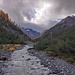 Wilde Natur im Nationalpark