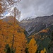 Herbstfarben im Nationalpark