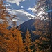 Herbstfarben und Sonne im Nationalpark