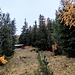 Hüttchen im Val Tantermozza
