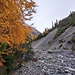 Im einsamsten (erlaubten) Tal des Schweizer Nationalparks