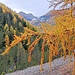 Herbst im Engadin