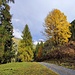 Herbstfarben