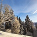 Winter auf dem Bachtel