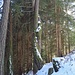 angeschmiegt