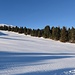 Schnee