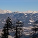 Baumwesen