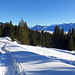 Schön angelegter Schneeschuhtrail durch die Wälder und Felder