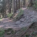 auf der zweiten Befahrung des Trails zum Heidsee